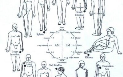 ¿Qué es la Medicina Tradicional China? La ciencia de la autorregulación más allá de las agujas.